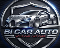 BI CAR AUTO 