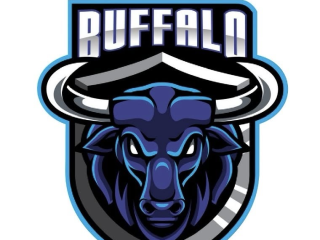BUFFALO AUTO 