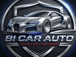 BI CAR AUTO 