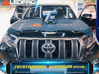 TOYOTA PRADO Nâng Cấp Đèn Bi Gầm LEDPRO A8 SPECIAL