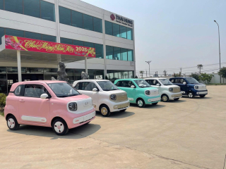 Xe Điện Mini Rẻ Nhất Cập Bến Việt Nam Cuối Tháng 6