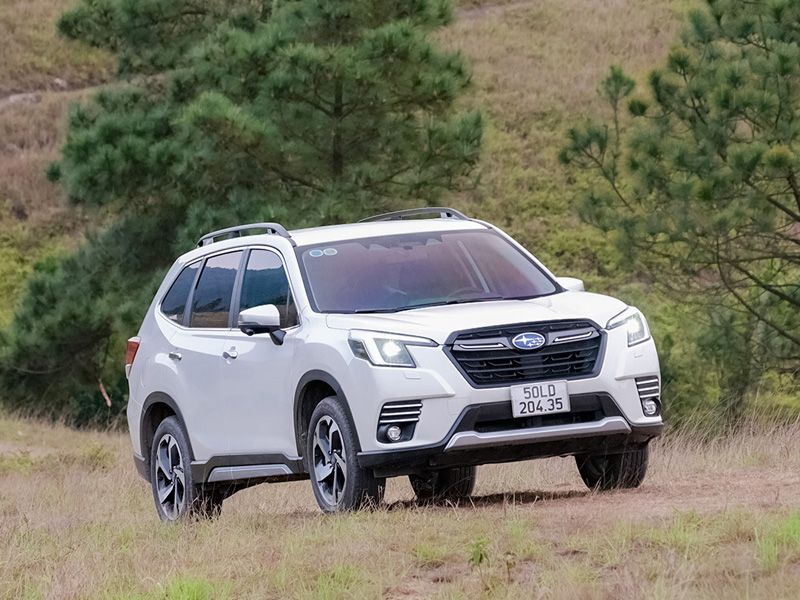 SUV hợp với địa hình và điều kiện đường sá tại Việt Nam. Ảnh minh họa: Subaru