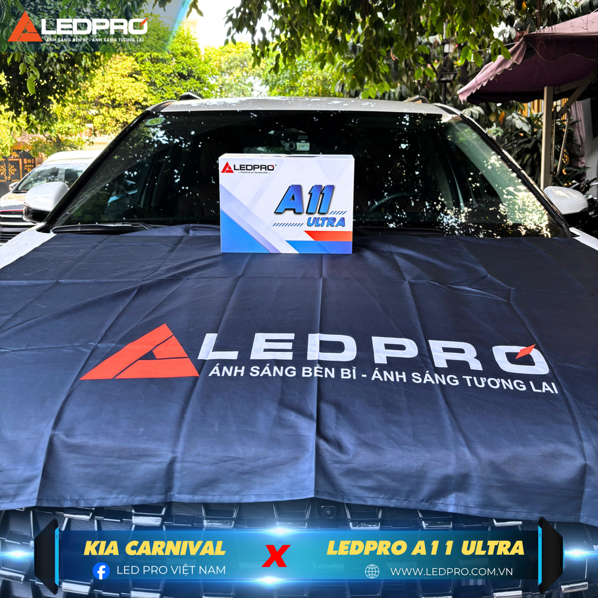 KIA Carnival cần ánh sáng xứng tầm, và bi gầm LEDPRO A11 Ultra là cái tên hoàn hảo