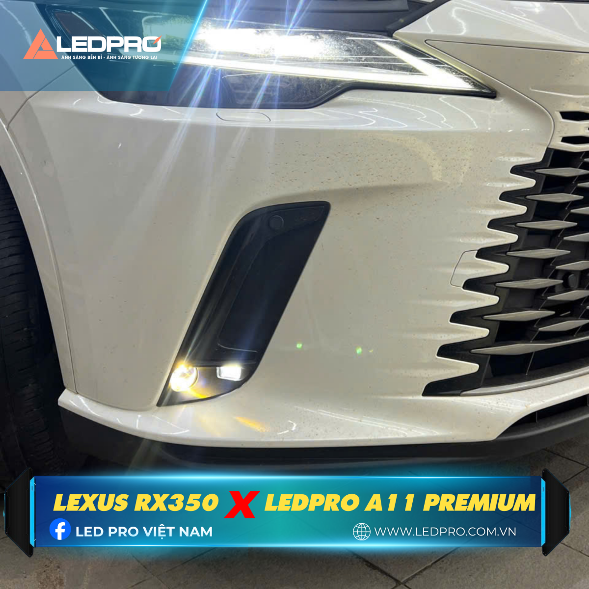 SUV hạng sang, Lexus RX350 trang bị đèn gầm A11 Premium