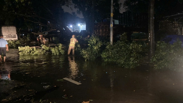 Cây xanh trên đường ngã đổ khiến giao thông bị ùn tắc. Ảnh: Báo Thanh Niên (PC08)